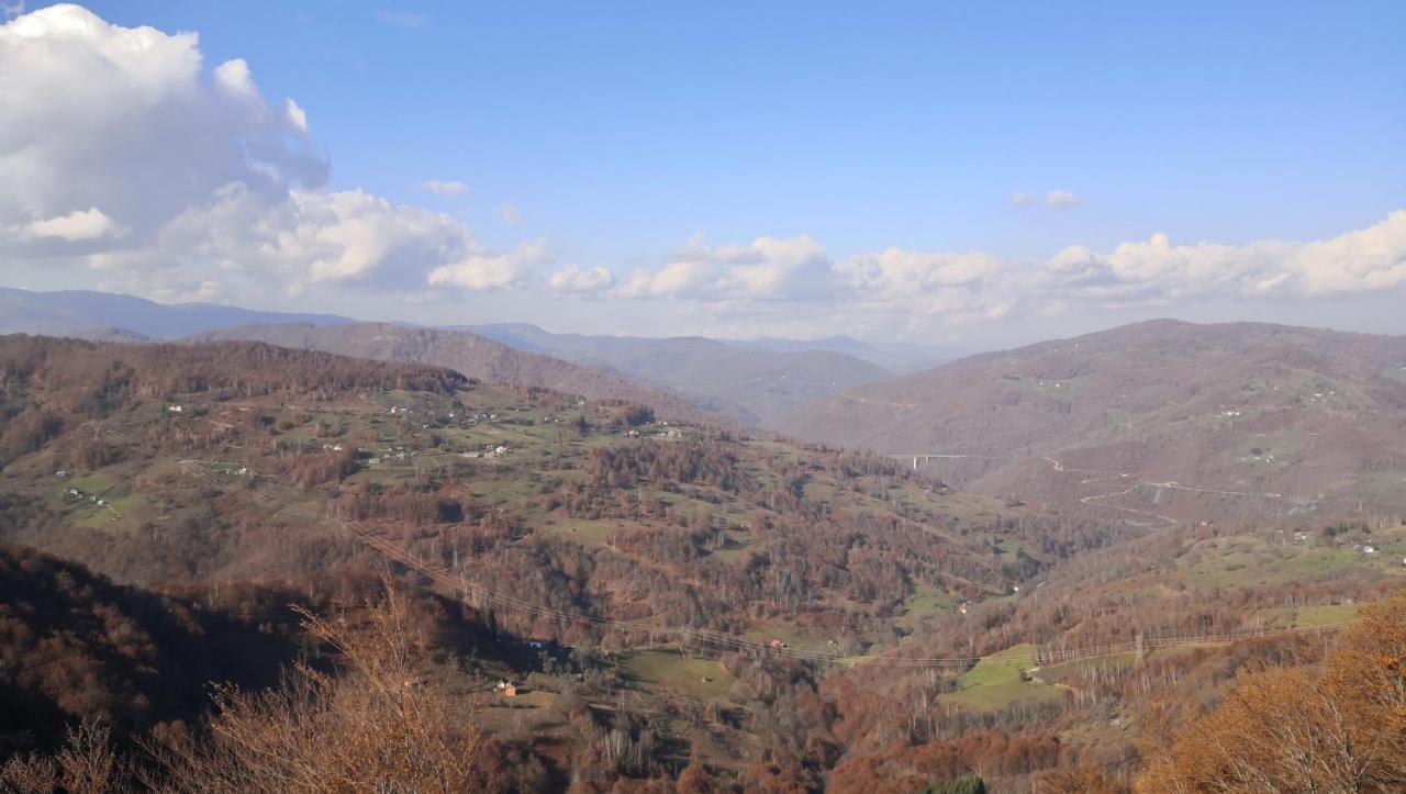 Koliba Pcelica 2 Villa Bijelo Polje Bagian luar foto