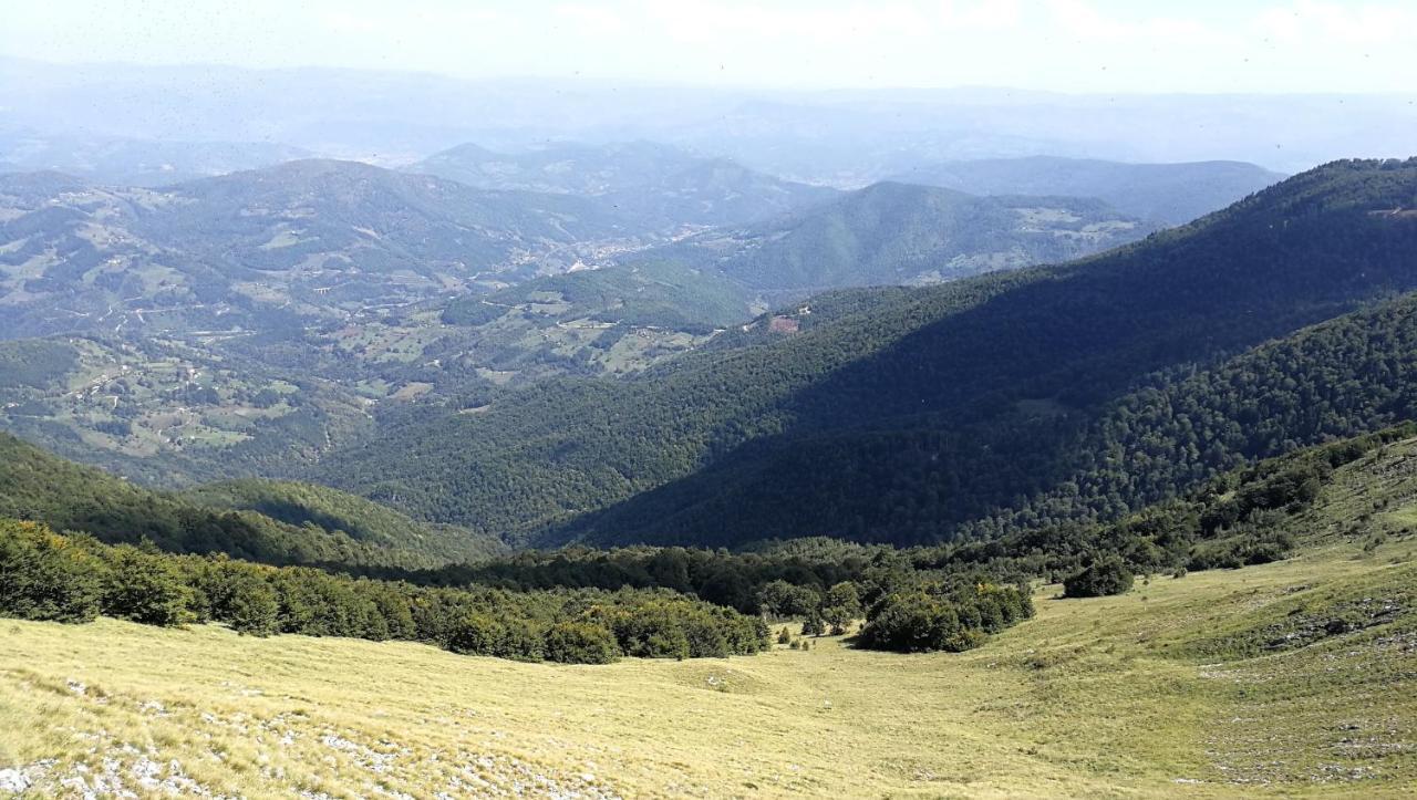 Koliba Pcelica 2 Villa Bijelo Polje Bagian luar foto