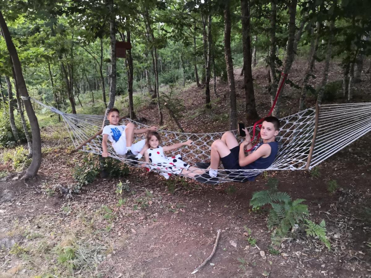 Koliba Pcelica 2 Villa Bijelo Polje Bagian luar foto